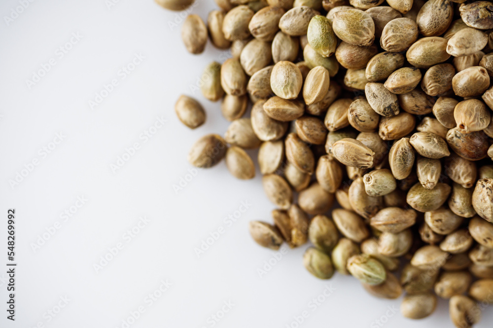 natural hemp seeds on a white acrylic background natural hemp seeds on a white acrylic background