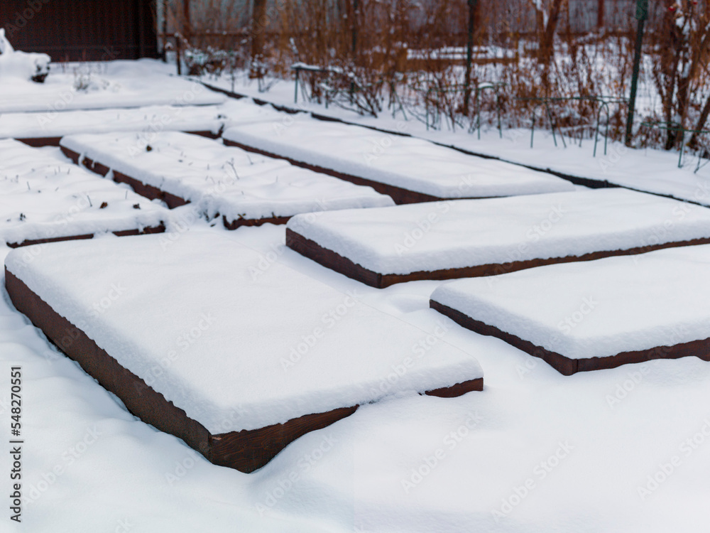 Naklejka premium beds covered with snow