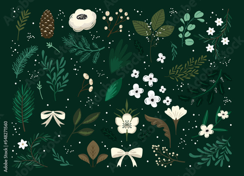 Christmas botanical collection on a dark background