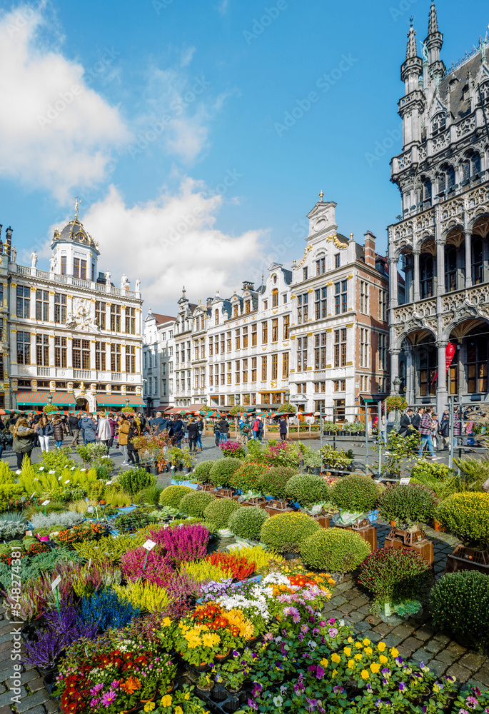 Obraz na płótnie Flowers on Grand Place, Grote Markt in Brussels, Belgium w salonie