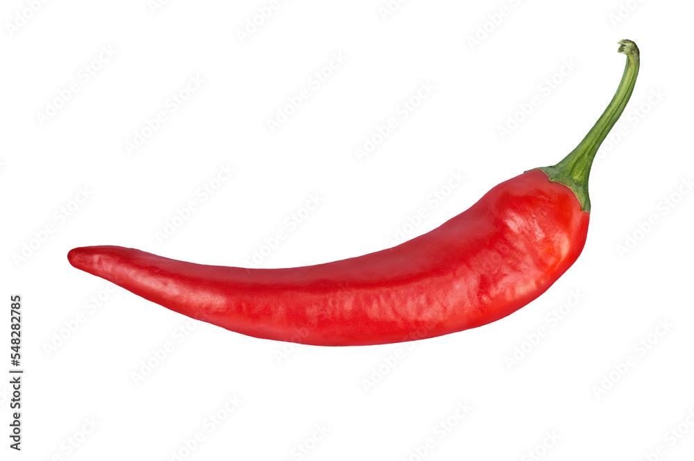 Red hot chili pepper close-up, transparent background. - obrazy, fototapety, plakaty 