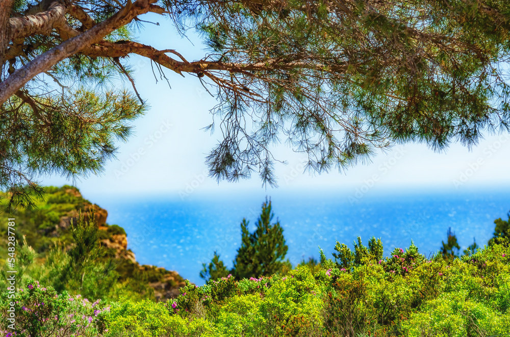 Green view of the Mediterranean coast