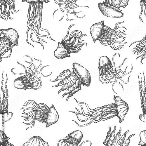 Jellyfish vintage sketch seamless pattern or jelly fish vector background. Hand drawn or sketch drawing pattern of sea animals or ocean underwater wildlife, jellyfish with tentacles