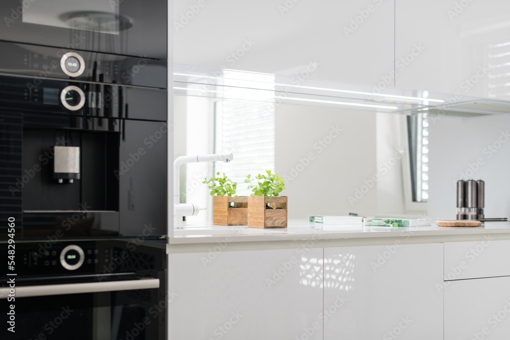 White kitchen with built in appliances in modern apartment White kitchen with built in appliances in modern apartment