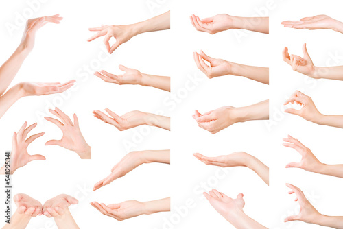 Fotografia Set of woman hands showing, holding and supporting something