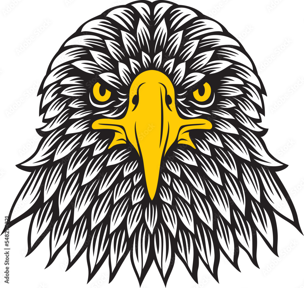 Fototapeta premium Eagle Head Front View. Color Vector Illustration.