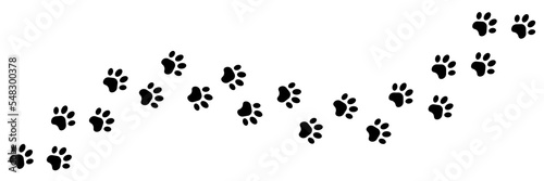 Paw foot trail print of cat. Dog, pawprint, cat paw print on white background.