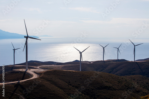 wind rose electricity