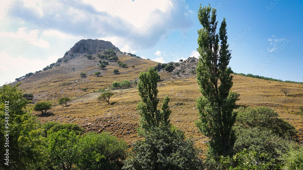 landscape of an imposing volcanic mountain and sky cloud with various trees on the slope of the valley, Imbros Island, Gokceada, Canakkale Turkey
