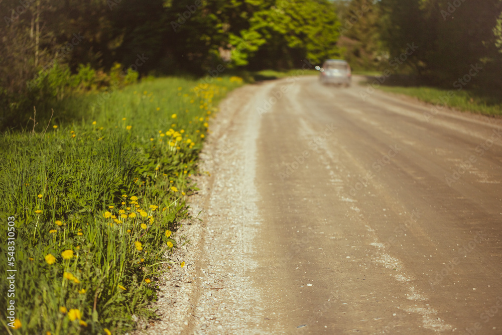 Obraz premium sand and gravel dirt road with yellow dandelions on road side. Blurry car in distance