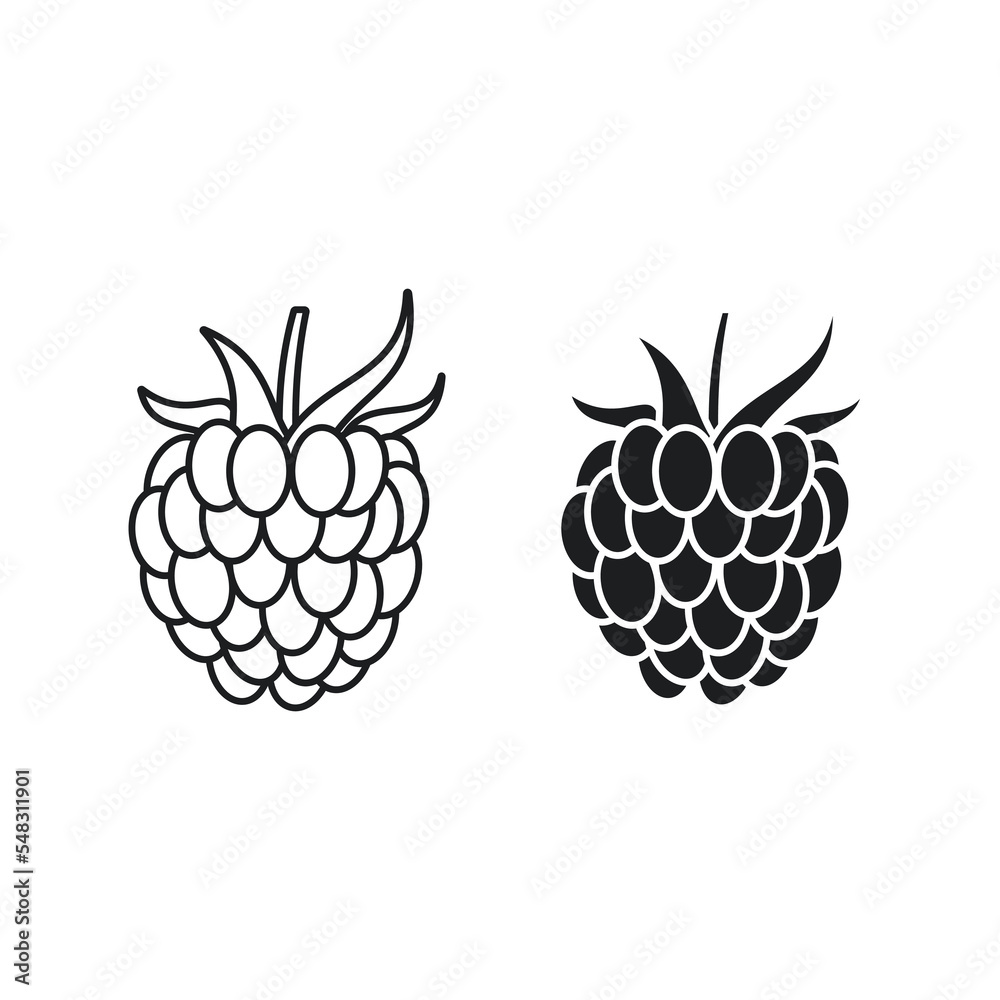 Raspberry Line Icon Isolated On White Background Raspberry Line Icon Isolated On White Background
