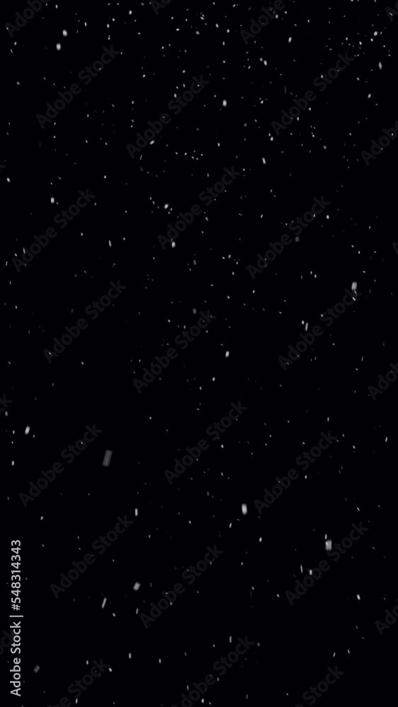 Vertical falling snow animation, winter snow seamless loop. Alpha channel
