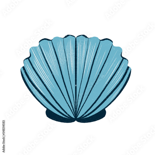 Blue Shell  marine animals  snorkeling  hand drawn