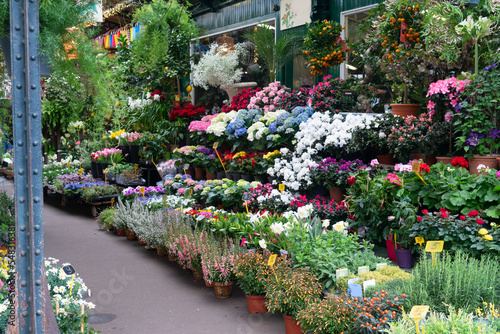Canvas Print Paris flower market