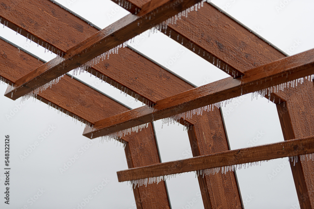 Obraz premium wood ice