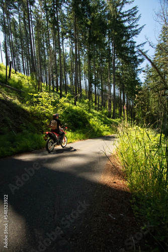 motorcycle in the woods