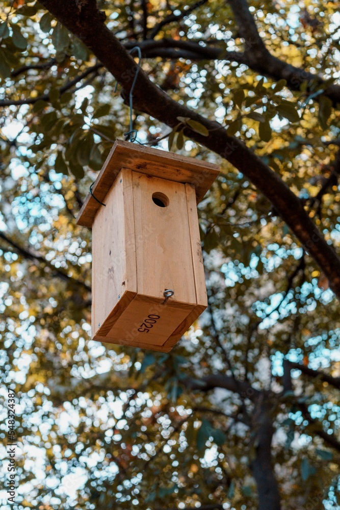 Nest box or bird house is an artificial cavity made for birds or bats to nest inside.
