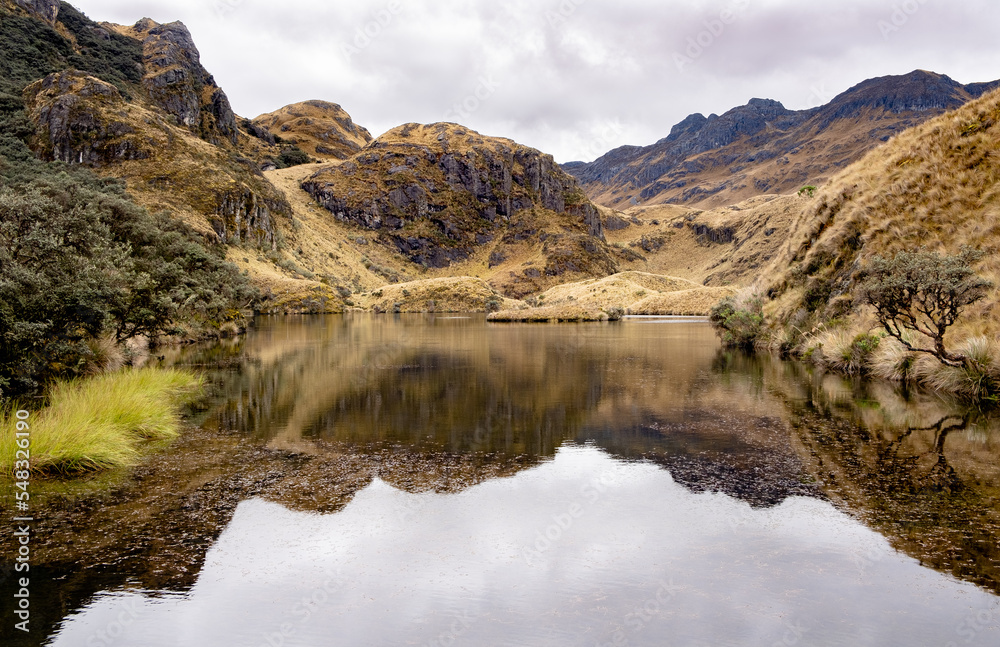 Mountains and plants reflection on a lake in Cajas National Park in the Andean highlands of Ecuador,.