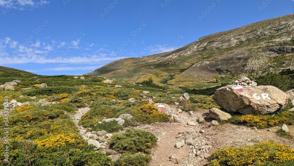 Trail mark or sign of Grande Randonnée GR20 hiking trail next to mountain hiking path surrounded by a beautiful mountain in meadow with yellow flowers in Corsica, France, Europe