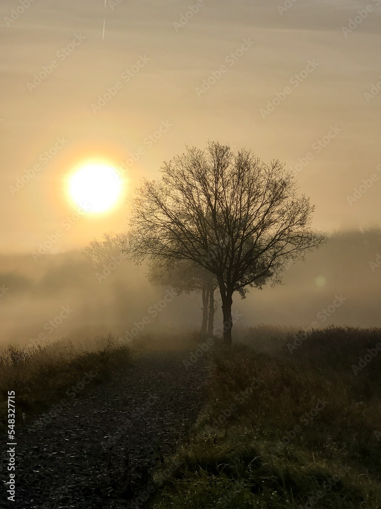 Obraz premium misty morning sunrise