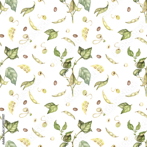 Seamless pattern of Soya plant with seeds  beans and green leaves. Healthy protein soja vegetable isolated hand drawn elements. Soya food and products.