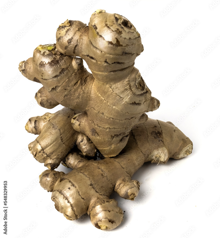 ginger rhizome isolated on white background. ginger rhizome isolated on white background.