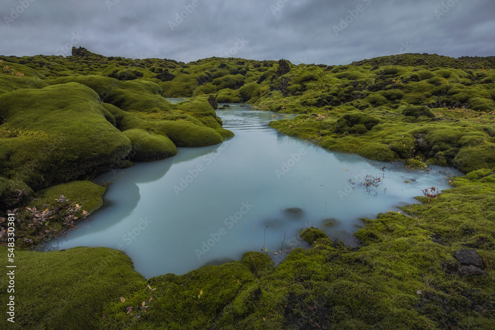 Obraz premium Icelandic green moss. Eldhraun Lava fields.
