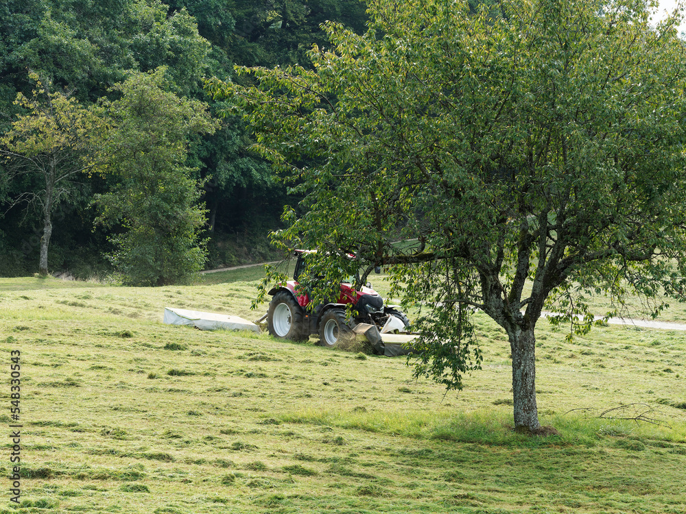 Obraz premium Green meadows of Margraves' land (Markgräflerland) at the foot of the Black Forest. Field work and hay harvesting