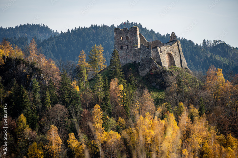 Castle ruins in late autumn on a hill among trees