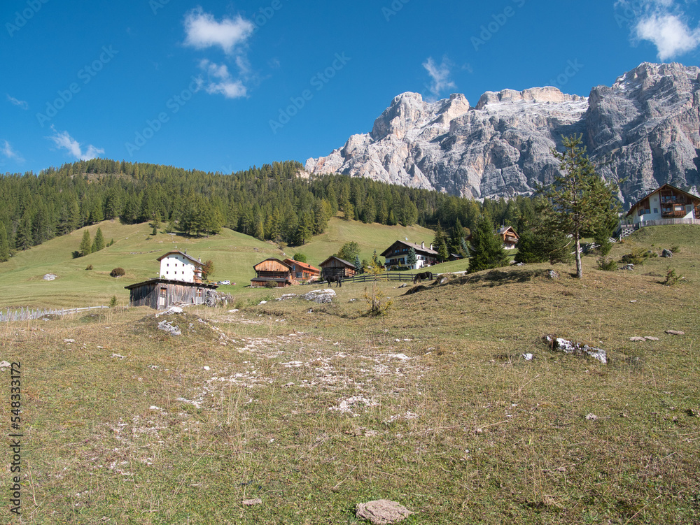 Along the meadows surrounding La Villa. Dolomites, Trentino-Alto Adige region, Italy.
