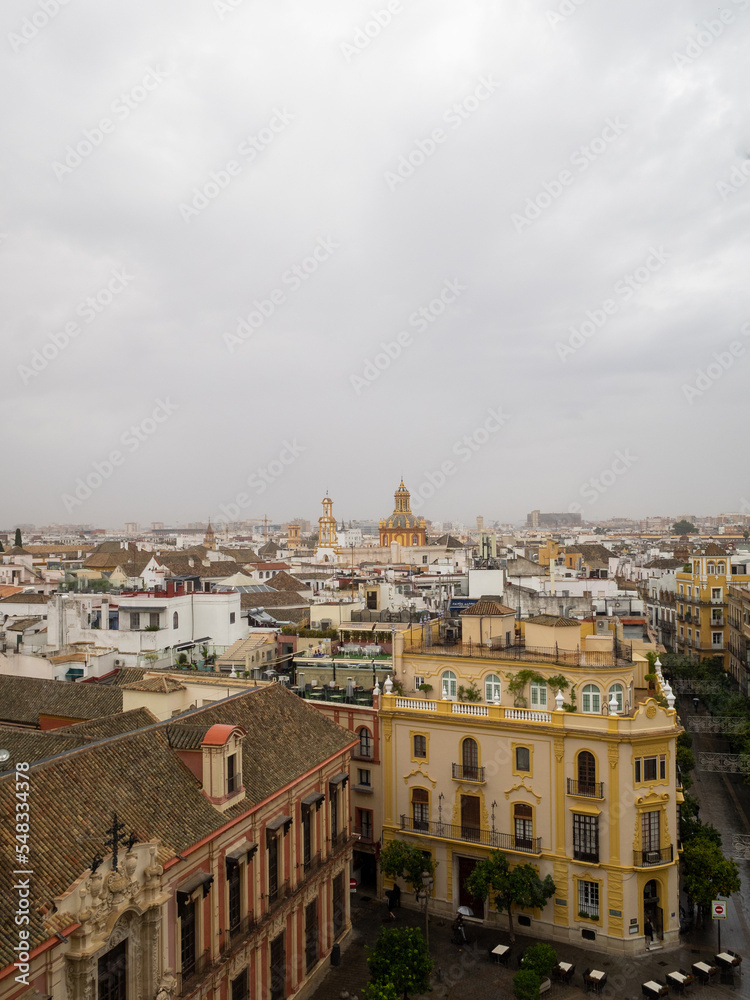 Sevile in a cloudy day seen from the Giralda Tower