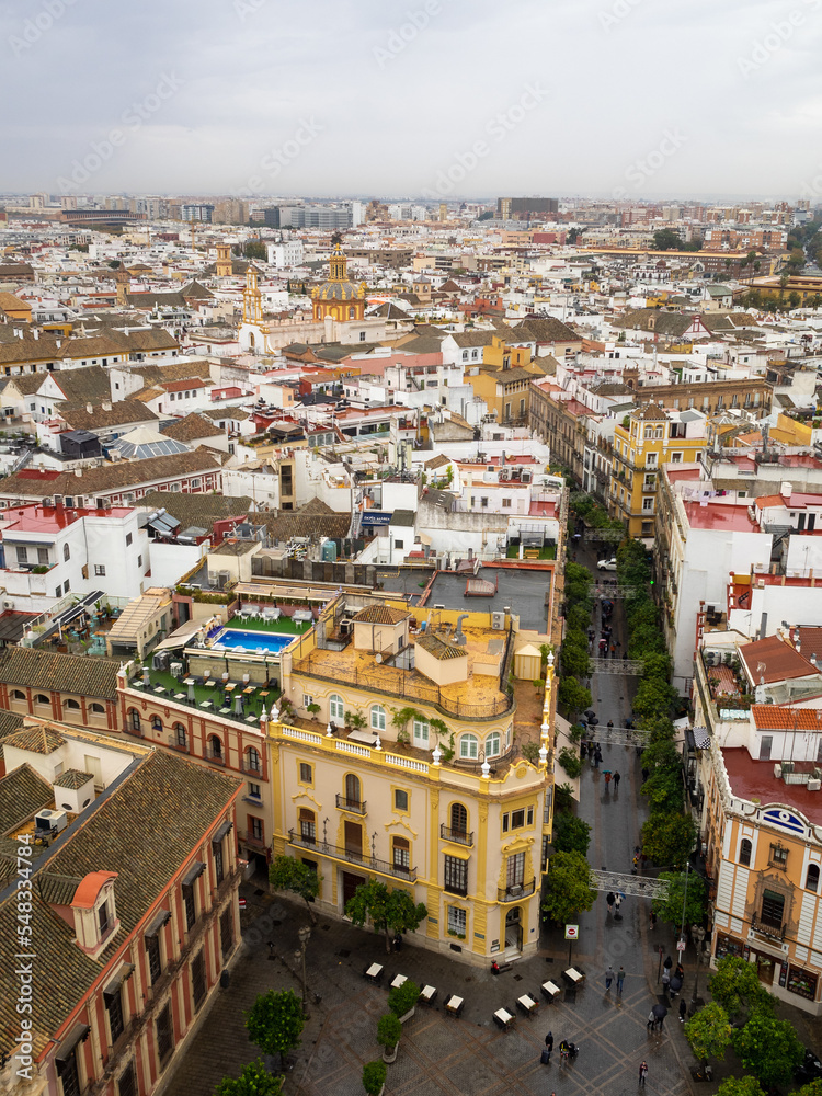 Sevile in a cloudy day seen from the Giralda Tower
