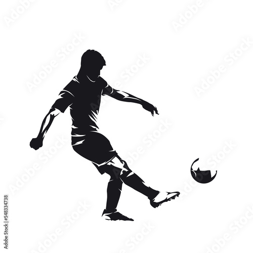 Fotografie, Obraz Soccer player kicking ball, footballer scoring goal, isolated vector silhouette