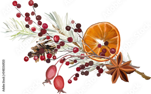 Branches of pine, rose hip, red berries, dry orange and spices