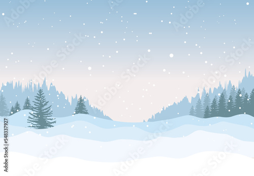 Silhouettes of spruce trees on a snowy blue background.Snowdrifts.Spruce tree forest 