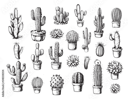 Cactus set hand drawn sketch Plants Vector illustration.