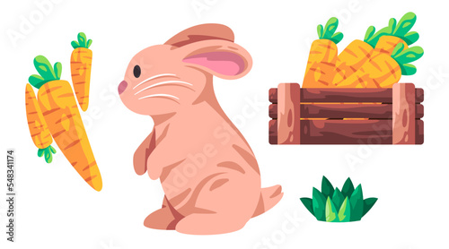 Rabbits bunnies or bunny cute adorable animal with furry hair in brown color with carrot food