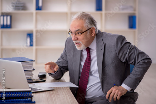 Old male employee working in the office