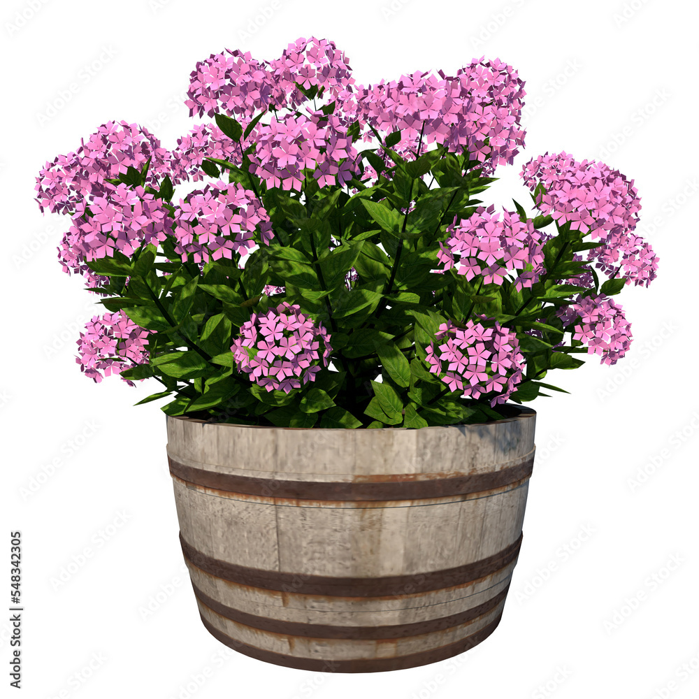 Front view of Plant Flower (Flowerpot Vase with hydrangea 1) Tree png
