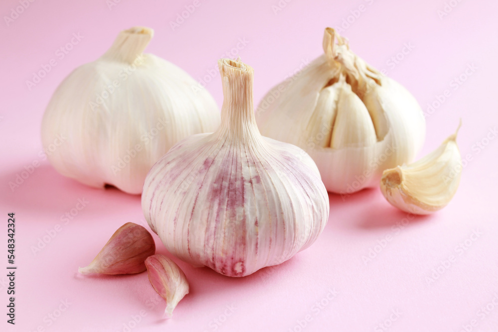 Fresh white unpeeled head bulb of garlic and garlic cloves on pink