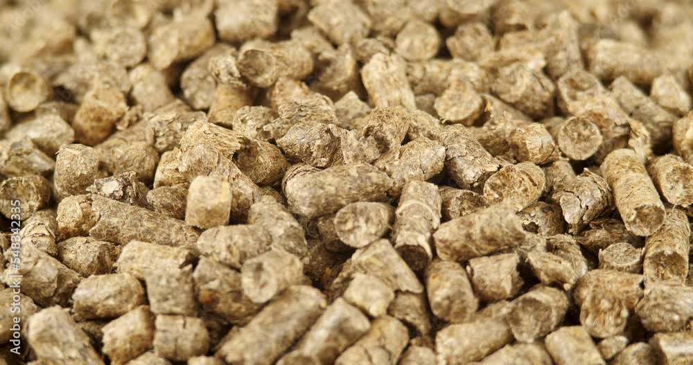 Close-up Rotation of Compacted Straw Pellets As Natural Cat Litter Filler or Organic Fuel. Thatch Pellets Background. Renewable Alternative Energy. Material for Heating in Cold Season Close-up Rotation of Compacted Straw Pellets As Natural Cat Litter Filler or Organic Fuel. Thatch Pellets Background. Renewable Alternative Energy. Material for Heating in Cold Season