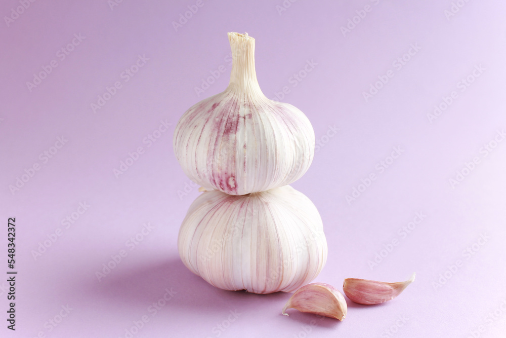 Fresh white unpeeled head bulb of garlic and garlic cloves on lilac