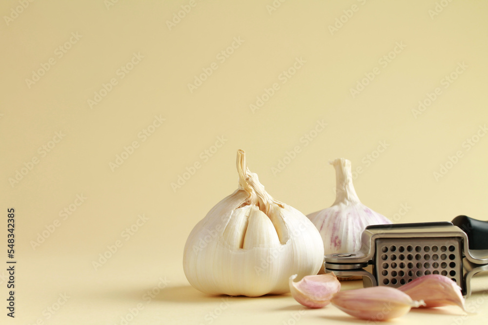 Fresh white unpeeled head bulb of garlic and garlic cloves on yellow