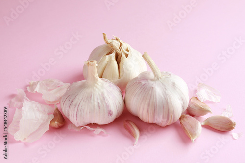 Fresh white unpeeled head bulb of garlic and garlic cloves peel on pink color background. Vegan, organic, vitamins. Natural antibiotic, antioxidant, Allicin. 