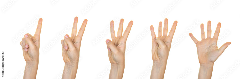 hands isolated on transparent background, counting with fingers, concept hands isolated on transparent background, counting with fingers, concept