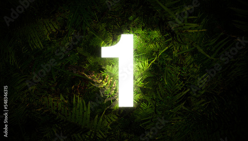 Photos Jungle number 1 one