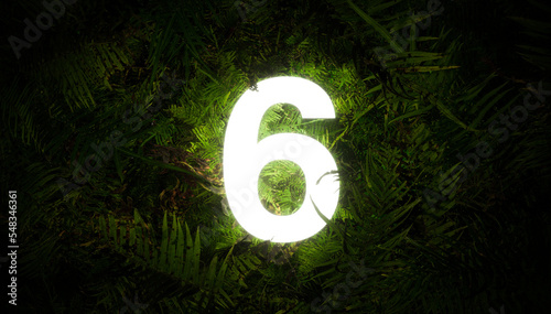 Jungle number 6 six