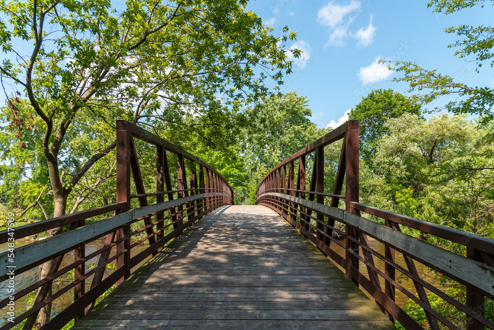 Obraz premium A Metal Bridge In The Local Park