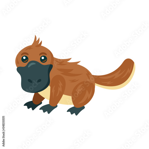 platypus traditional australian animal