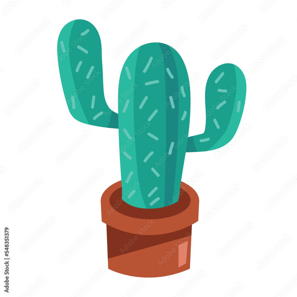 green cactu in pot green cactu in pot